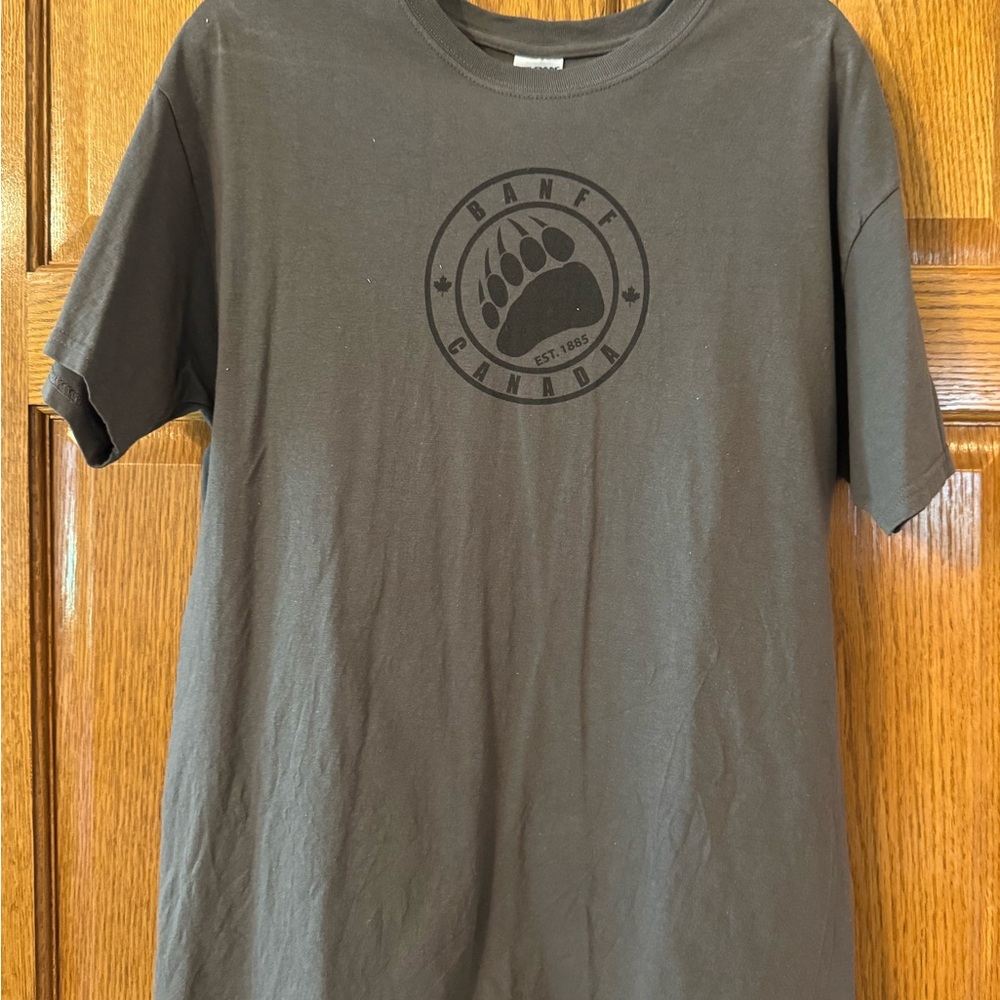 Gildan Gray Crewneck T-Shirt with Blue Logo Tag